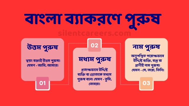 পুরুষ কাকে বলে 