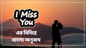 I Miss You এর ভাল বাংলা অর্থ বা অনুবাদ